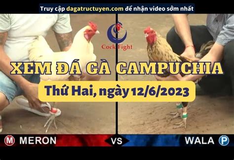 Clip Đá Gà 06/11/2023 .
